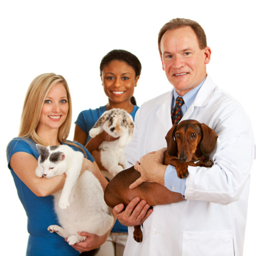 Animal Care and Management